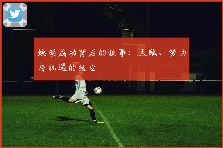 姚明成功背后的故事：天赋、努力与机遇的结合