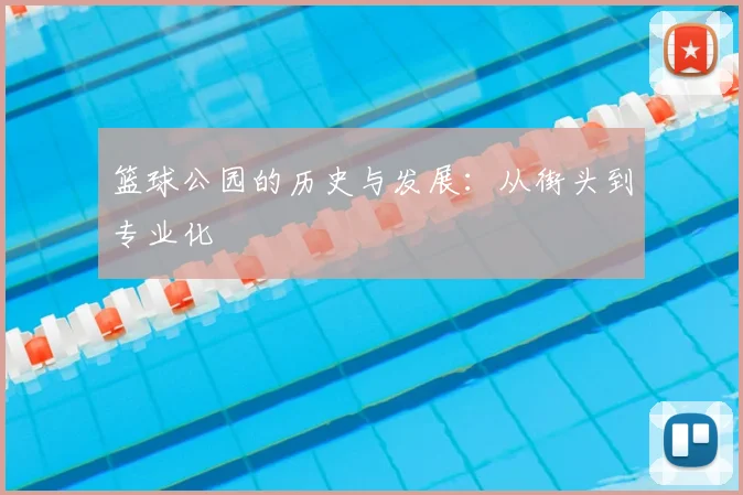 篮球公园的历史与发展：从街头到专业化